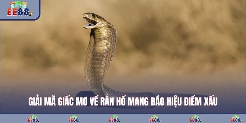 Giải mã giấc mơ về rắn hổ mang báo hiệu điềm xấu